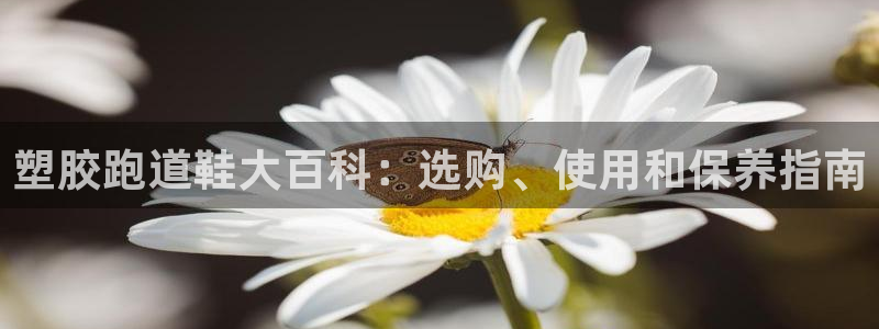 谈球吧app靠谱吗：塑胶跑道鞋大百科：选购、使用和保养指南