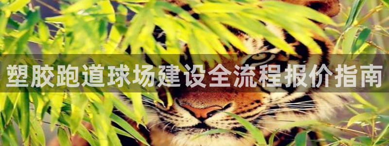 谈球吧体育：塑胶跑道球场建设全流程报价指南