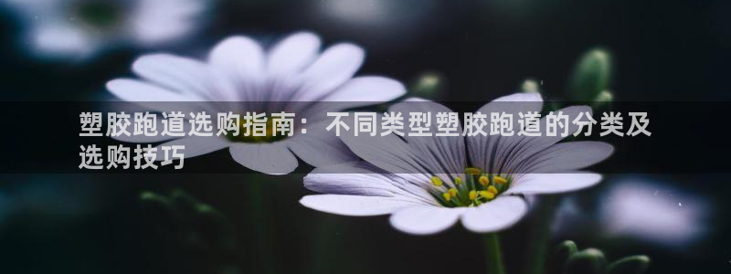 谈球吧app官网下载：塑胶跑道选购指南：不同类型塑胶