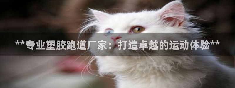 谈球吧官网在线入口手机版下载：**专业塑胶跑道厂家：打造卓越的运动体验**