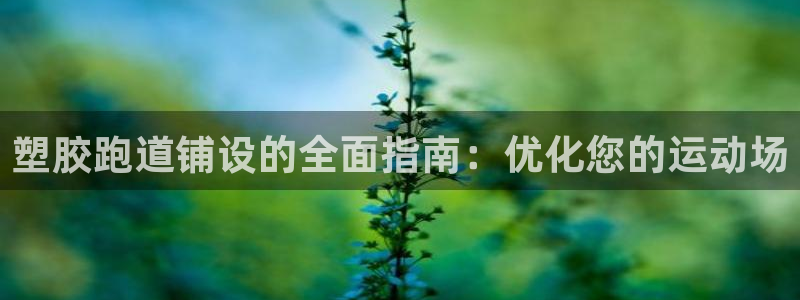 谈球吧体育首页综合登陆：塑胶跑道铺设的全面指南：优化您的运动场