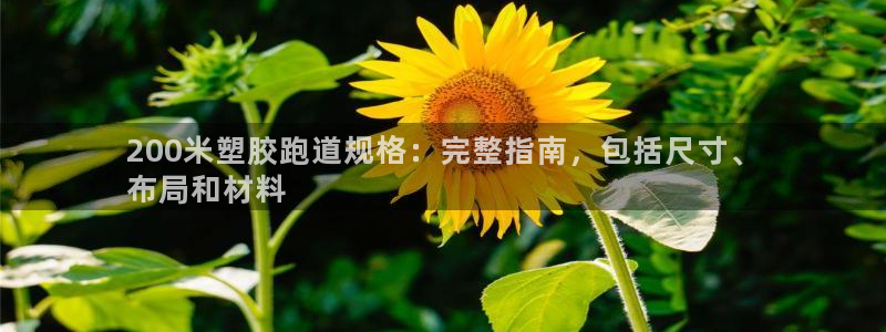谈球吧官网app：200米塑胶跑道规格：完整指南，包括尺寸、
布局和材料