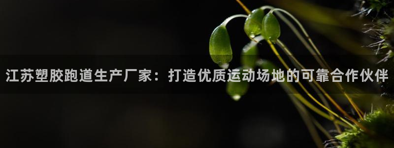 谈球吧平台黑吗?：江苏塑胶跑道生产厂家：打造优质运动场地的可靠合作伙伴