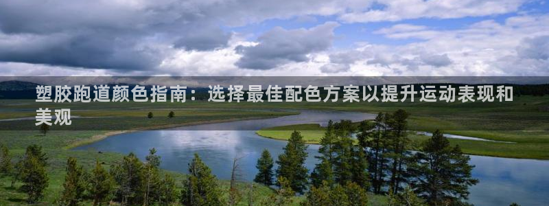 谈球吧app靠谱吗：塑胶跑道颜色指南：选择最佳配色方