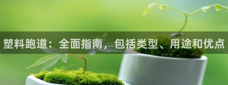谈球吧出款怎样?：塑料跑道：全面指南，包括类型、用途