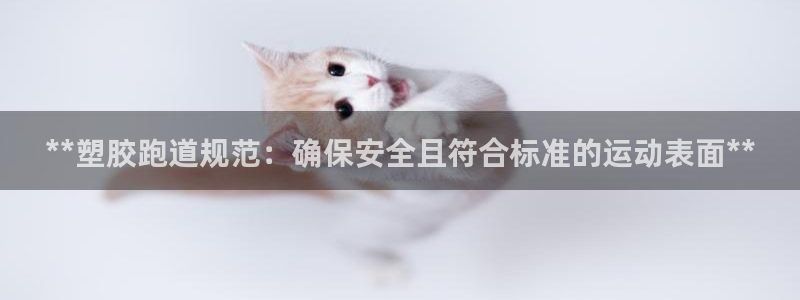 谈球吧是正规平台吗安全吗：**塑胶跑道规范：确保安全且符合标准的运动表面**