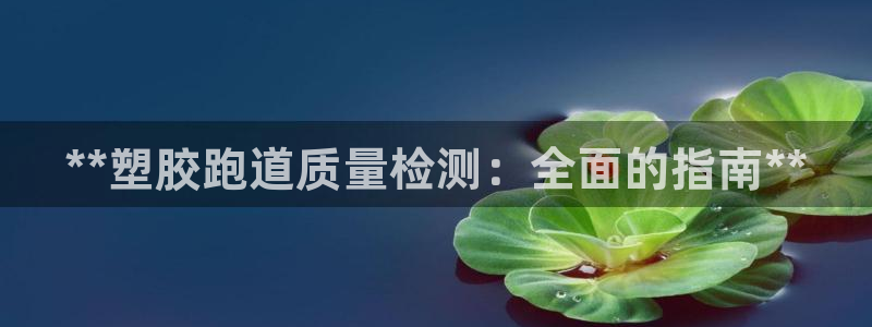谈球吧网页登录：**塑胶跑道质量检测：全面的指南**