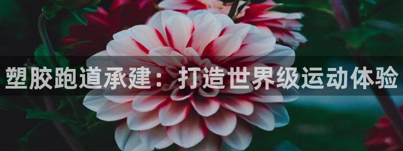 谈球吧nba：塑胶跑道承建：打造世界级运动体验