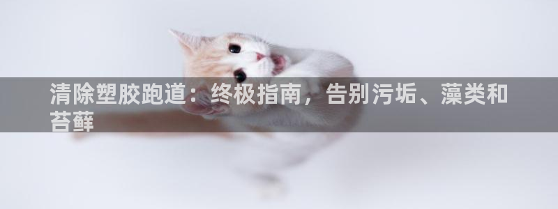 谈球吧出款：清除塑胶跑道：终极指南，告别污垢、藻类和
苔藓