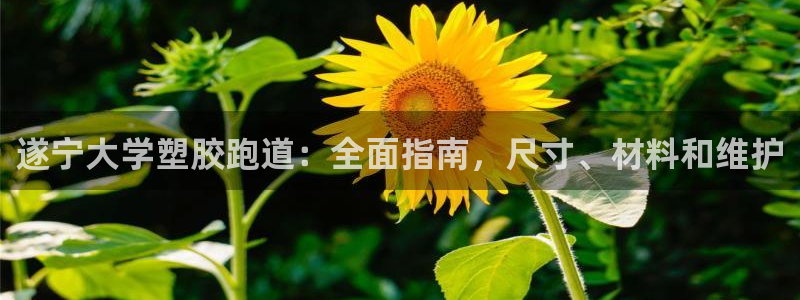 谈球吧娱乐app下载官网苹果手机：遂宁大学塑胶跑道：全面指南，尺寸、材料和维护