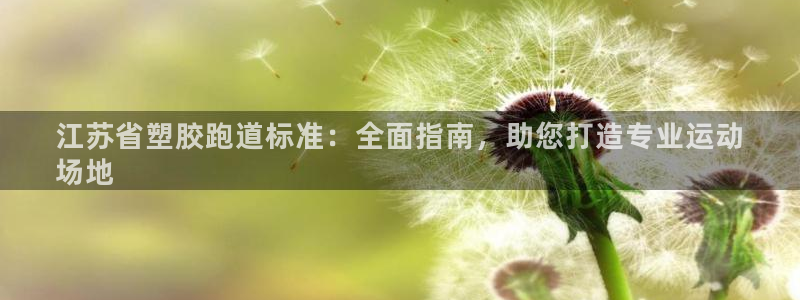 谈球吧官网登录：江苏省塑胶跑道标准：全面指南，助您打造专业运动
场地