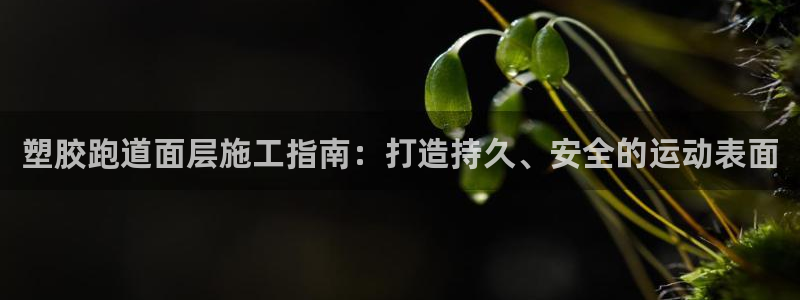 谈球吧体育官网入口：塑胶跑道面层施工指南：打造持久、安全的运动表面