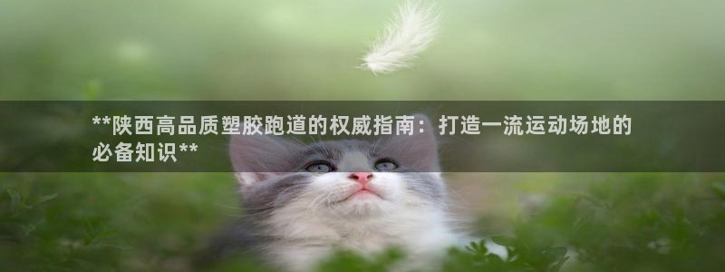 谈球吧平台正规吗可信吗：**陕西高品质塑胶跑道的权威指南：打造一流运动场地的
必备知识**