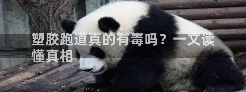 谈球吧全站app下载：塑胶跑道真的有毒吗？一文读
懂真相