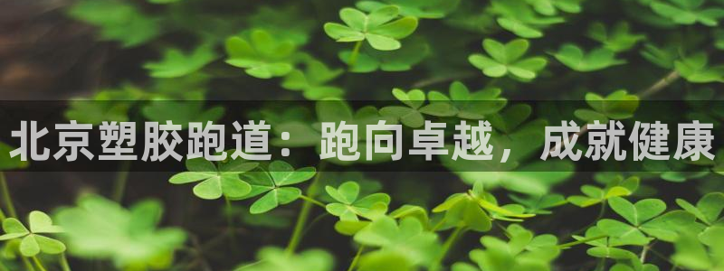 谈球吧被黑不给提现：北京塑胶跑道：跑向卓越，成就健康