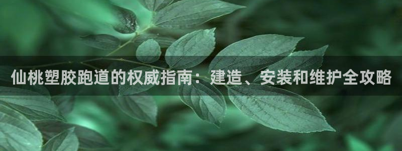 谈球吧官网在线入口免费观看视频：仙桃塑胶跑道的权威指南：建造、安装和维护全攻略