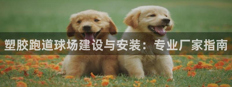 谈球吧体育app下载中心官方：塑胶跑道球场建设与安装