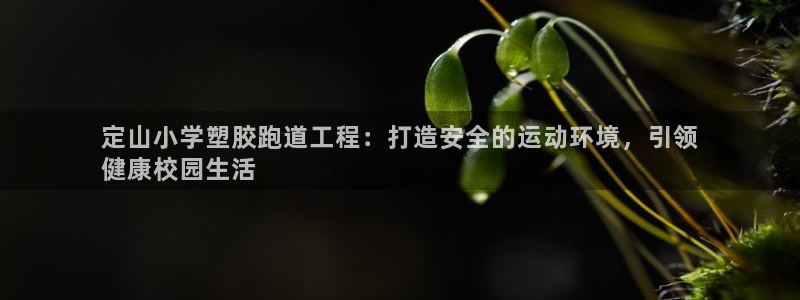 谈球吧的聊天软件下载：定山小学塑胶跑道工程：打造安全的运动环境，引领
健康校园生活