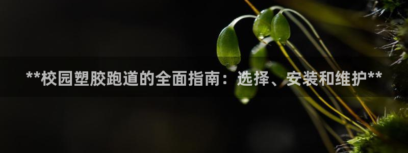 谈球吧网站：**校园塑胶跑道的全面指南：选择、安装和维护**
