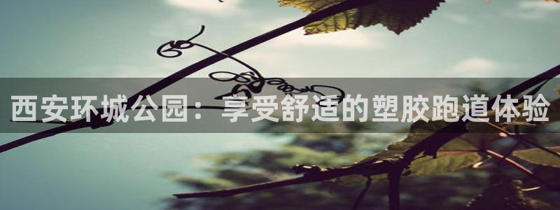谈球吧账号有人收吗：西安环城公园：享受舒适的塑胶跑道