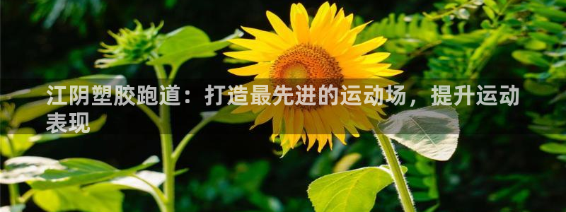 谈球吧网页登陆：江阴塑胶跑道：打造最先进的运动场，提