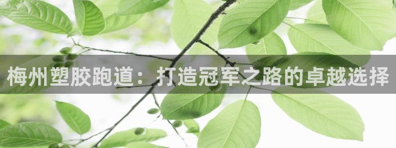 谈球吧体育app下载官网手机版：梅州塑胶跑道：打造冠军之路的卓越选择