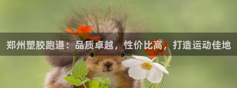 谈球吧买球提现：郑州塑胶跑道：品质卓越，性价比高，打