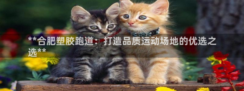 谈球吧首页：**合肥塑胶跑道：打造品质运动场地的优选
