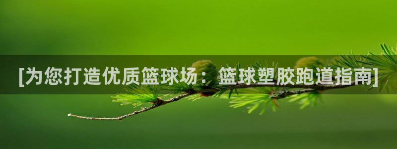 谈球吧体育app下载足球直播软件：[为您打造优质篮球场：篮球塑胶跑道指南]