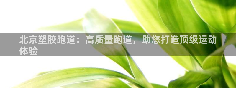 谈球吧黑款：北京塑胶跑道：高质量跑道，助您打造顶级运动
体验