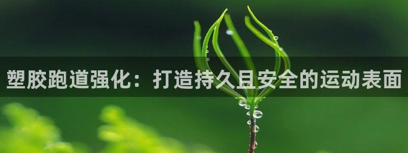 谈球吧官网在线入口免费观看高清视频：塑胶跑道强化：打造持久且安全的运动表面
