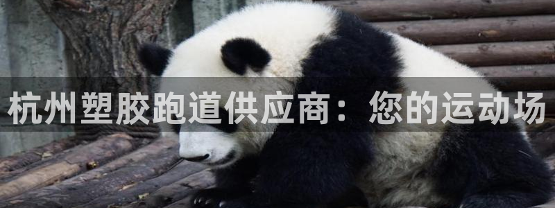 谈球吧是黑台子吗知乎：杭州塑胶跑道供应商：您的运动场