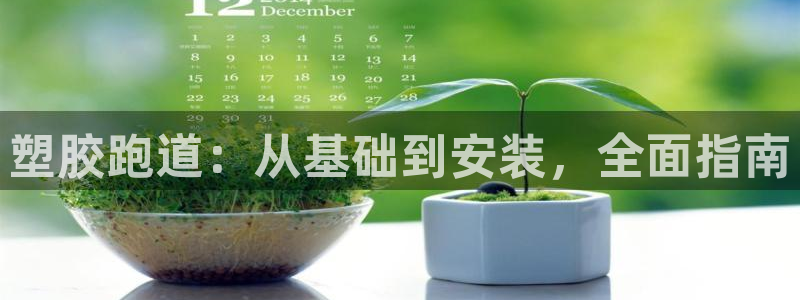 谈球吧网app官网下载：塑胶跑道：从基础到安装，全面