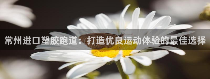 谈球吧app下载：常州进口塑胶跑道：打造优良运动体验