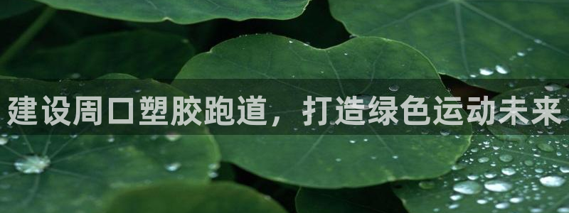 谈球吧网页版在线入口