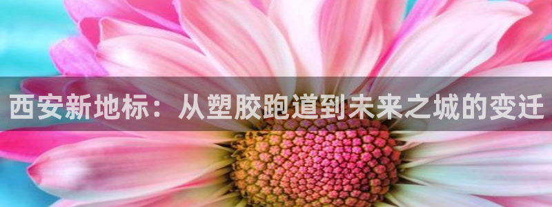 谈球吧出款