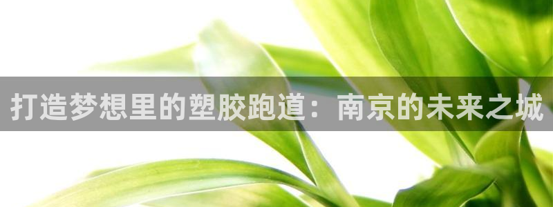 谈球吧app下载
