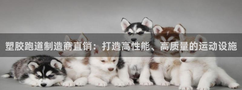 谈球吧官网在线入口免费观看高清视频