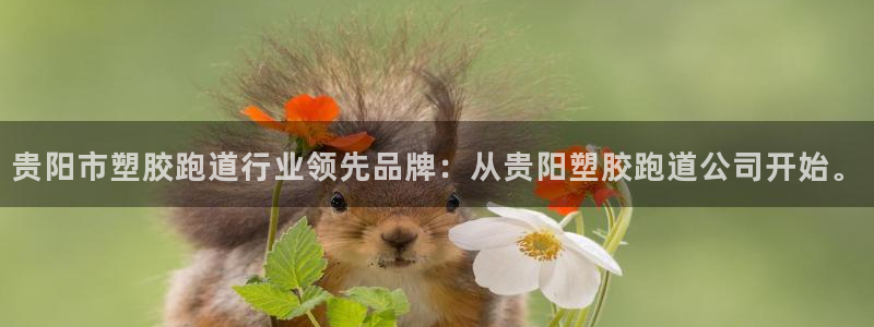 谈球吧体育app下载中心在哪找