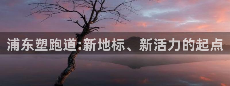 谈球吧的聊天软件叫什么