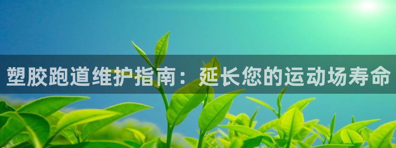 谈球吧账号有人收吗：塑胶跑道维护指南：延长您的运动场寿命