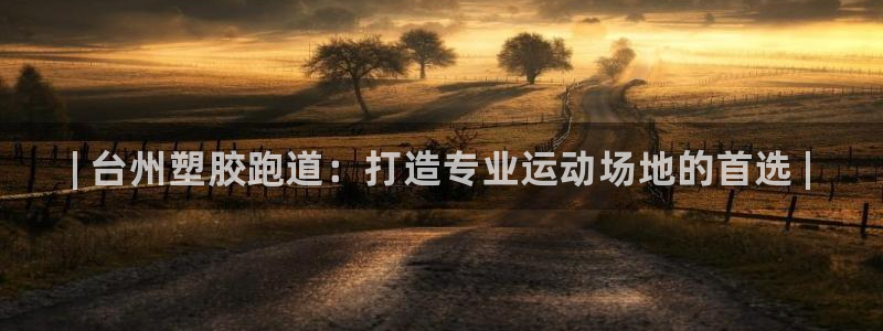 谈球吧官网入口在线观看：| 台州塑胶跑道：打造专业运