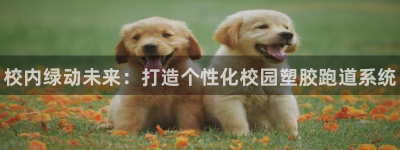 谈球吧登录地址