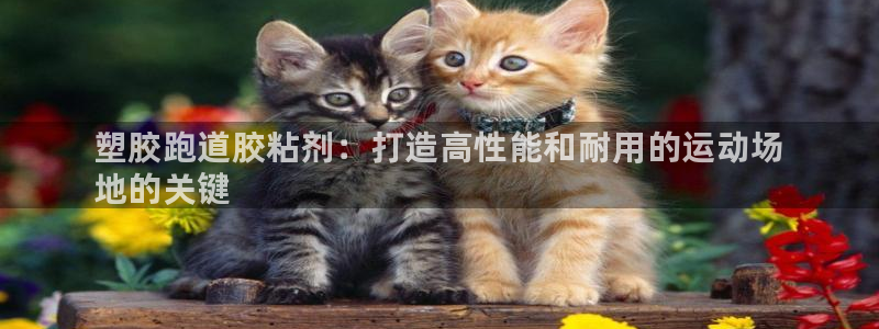 谈球吧APP入口：塑胶跑道胶粘剂：打造高性能和耐用的运动场
