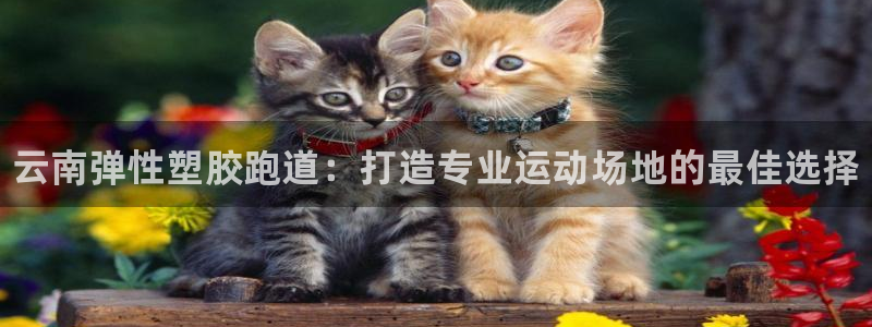 谈球吧体育官方入口：云南弹性塑胶跑道：打造专业运动场