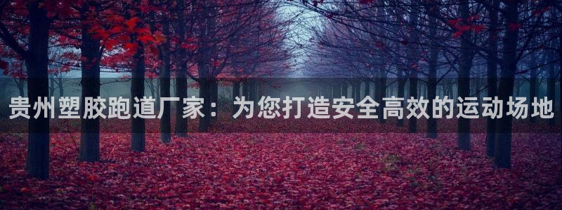 谈球吧入口：贵州塑胶跑道厂家：为您打造安全高效的运动场地