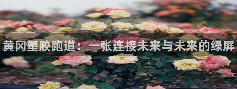 谈球吧是黑台子吗