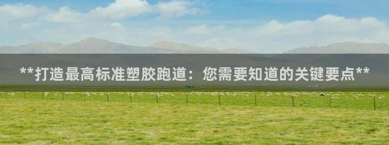 谈球吧体育在线：**打造最高标准塑胶跑道：您需要知道