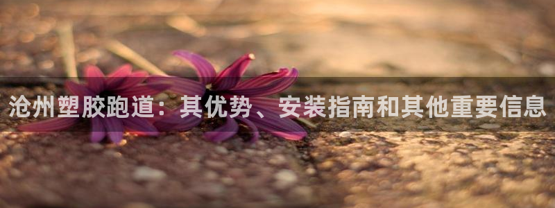 谈球吧：沧州塑胶跑道：其优势、安装指南和其他重要信息