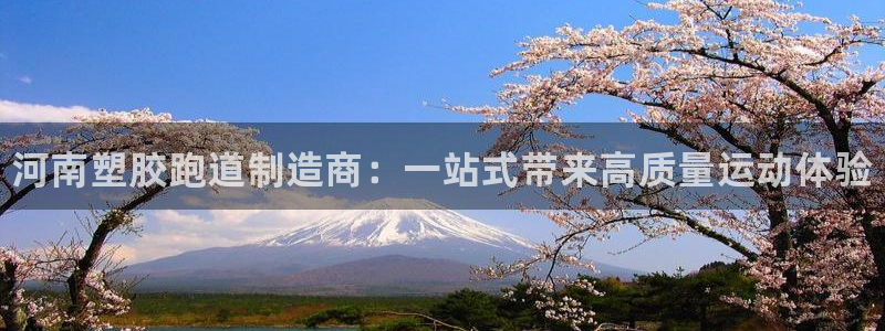 谈球吧官网在线入口手机版免费下载